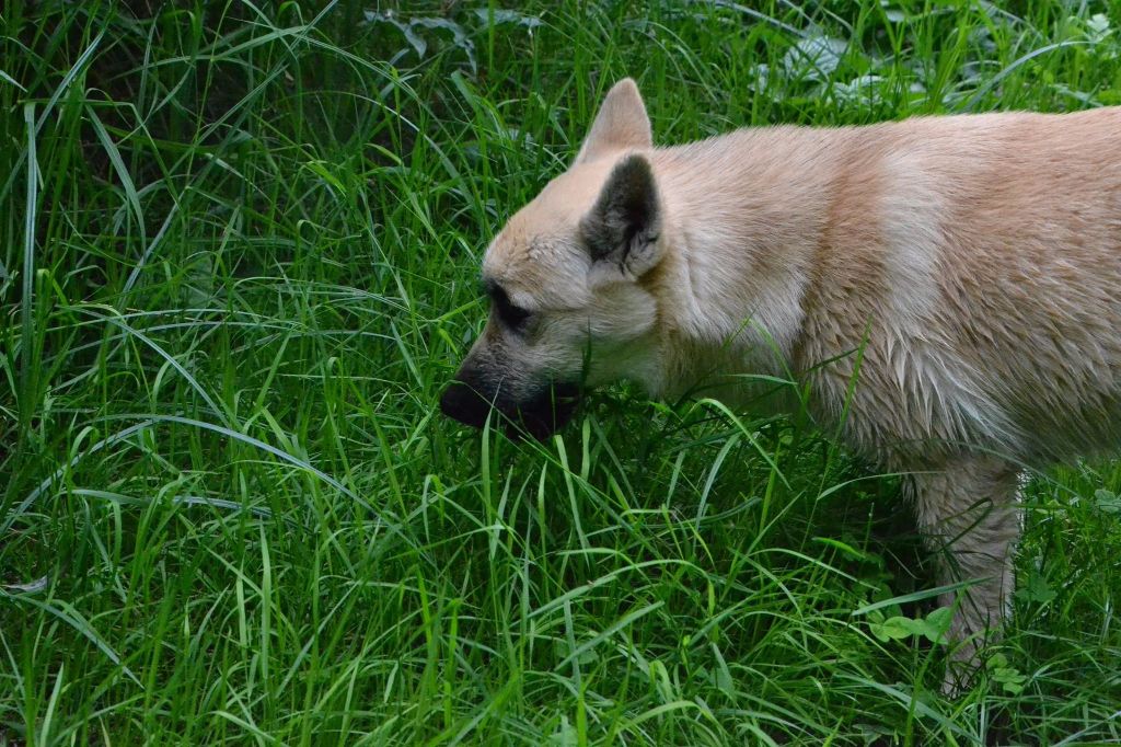 Au fil des saisons...